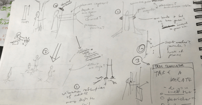 My sketches
