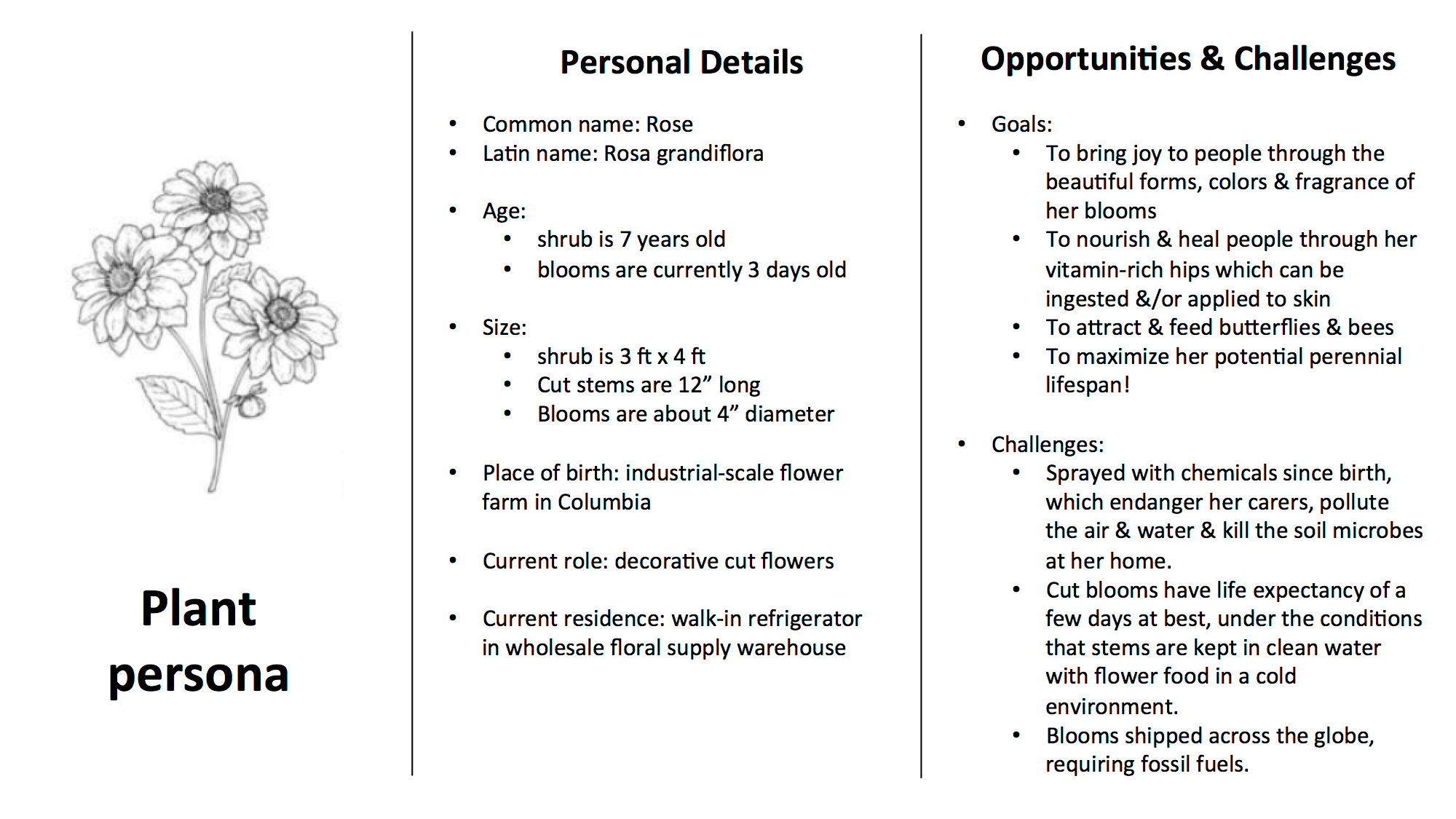 Plant Persona