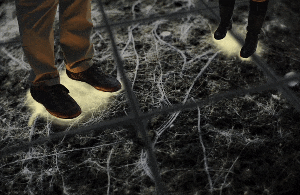 Animation of roots growing from feet on a floor